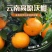 云南沃柑对接电商一件代发，深耕电商多年，满足客户需要。