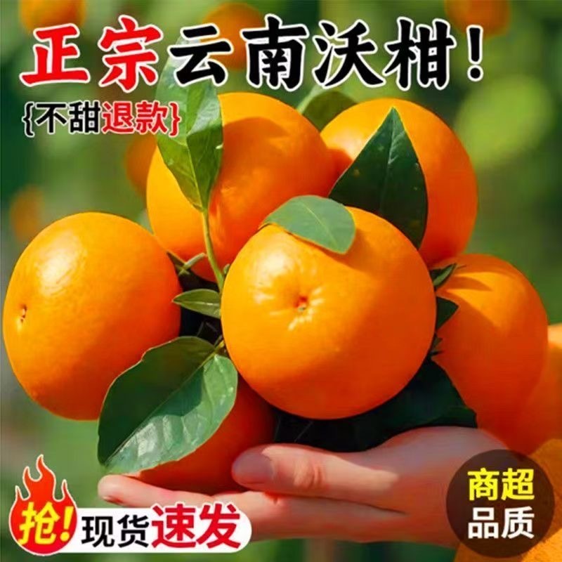 云南沃柑对接电商一件代发，深耕电商多年，满足客户需要。