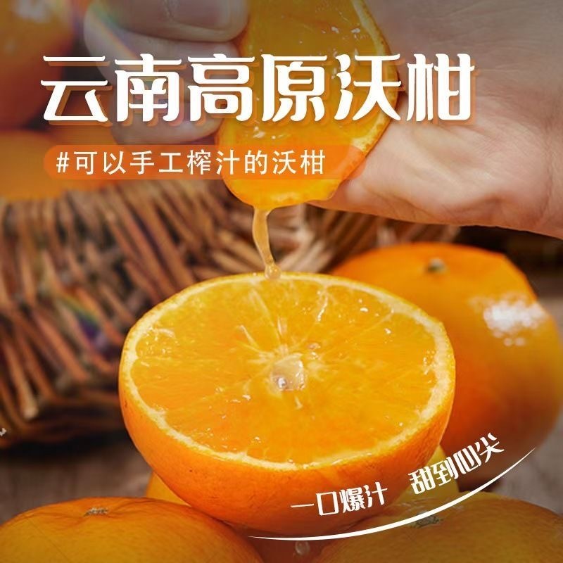 云南沃柑对接电商一件代发，深耕电商多年，满足客户需要。