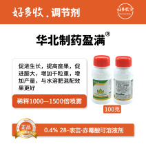 华北制药爱诺盈满0.4%28-表芸·赤霉酸可溶液剂