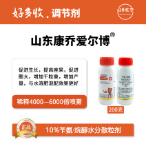 山东康乔爱尔博10%苄氨·赤霉酸水分散粒剂200克