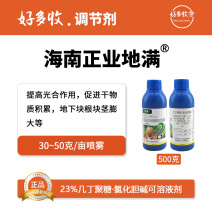 海南正业地满23%几丁聚糖·氯化胆碱可溶液剂500克