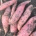 【热卖】烟薯25红薯烤蜜薯沙地烟薯红心品质保证欢迎电联