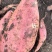 【热卖】烟薯25红薯烤蜜薯沙地烟薯红心品质保证欢迎电联