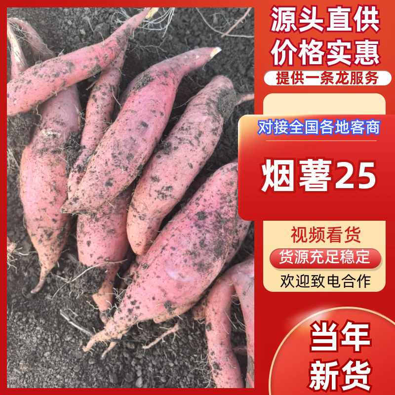 【热卖】烟薯25红薯烤蜜薯沙地烟薯红心品质保证欢迎电联