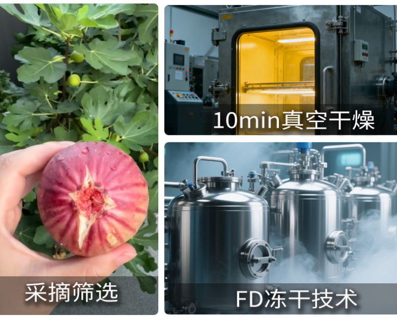 厂家批发冻干无花果干无花果片休闲零食水果干