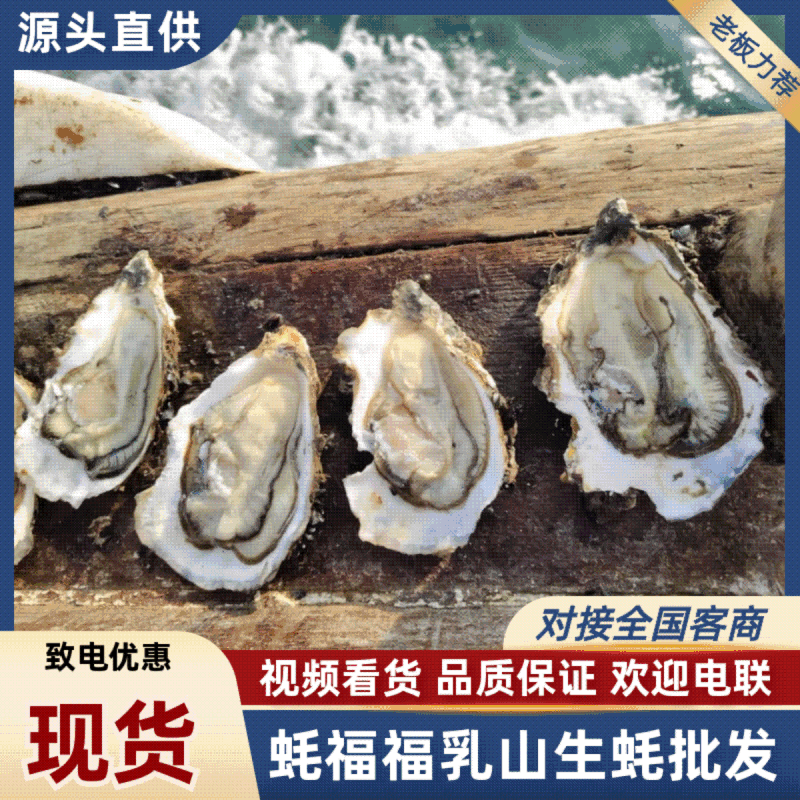乳山特价流通货生蚝对接全国发货快速售后无忧进店来电