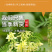 批发散货黄芪片黄芪段量大从优