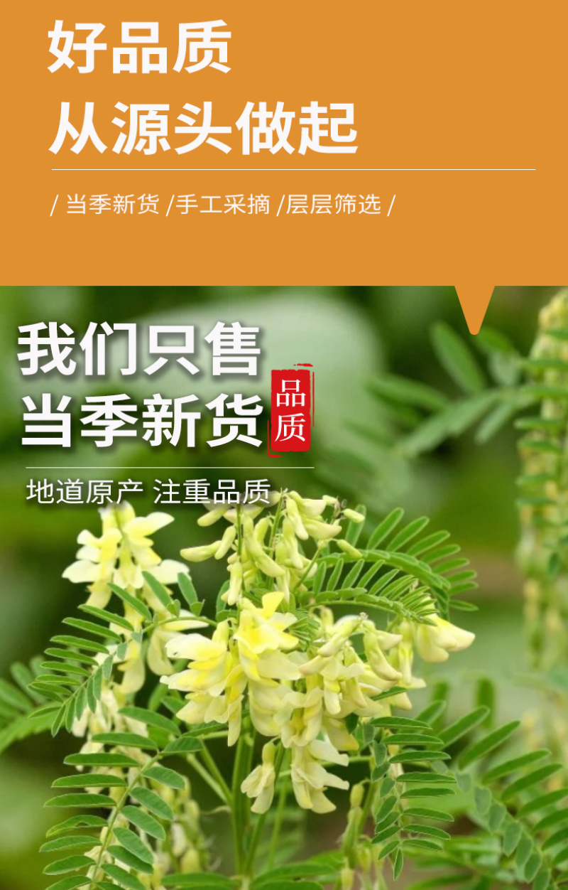 批发散货黄芪片黄芪段量大从优
