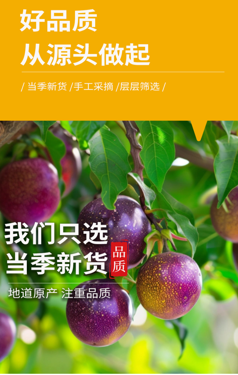 散货批发冻干百香果源头直供冷泡茶原材料百香果块青桔百香果