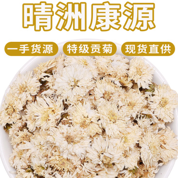 批发贡菊头茬白菊新货无硫
