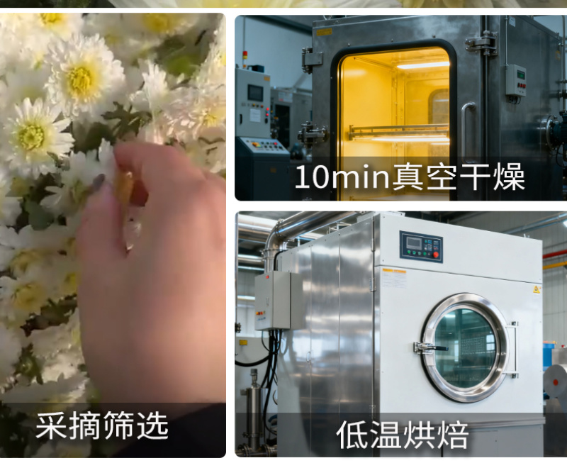 批发贡菊头茬白菊新货无硫