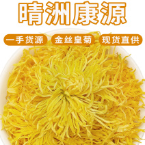 基地直供批发金丝皇菊大朵散装金丝黄菊菊花茶新货金丝皇
