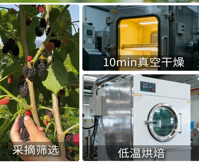 散装新货桑葚干桑椹干特级四川黑桑椹子无沙桑椹干桑葚子源头