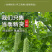 批发广西原味苦瓜干苦瓜片散装500g新货脱水苦瓜茶