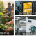批发广西原味苦瓜干苦瓜片散装500g新货脱水苦瓜茶