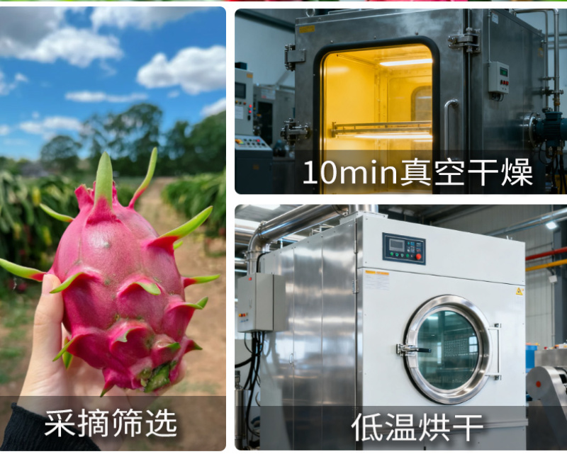 批发红心火龙果片散装烘干水果茶手工水果干火龙果片