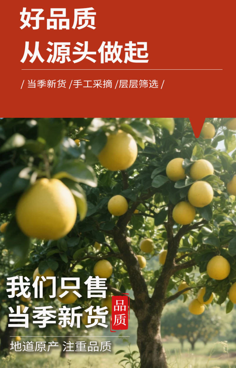 厂家批发西柚片烘焙西柚果干散装水果片网红冷泡水水果干