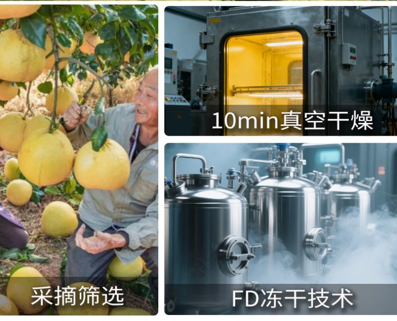 厂家批发西柚片烘焙西柚果干散装水果片网红冷泡水水果干
