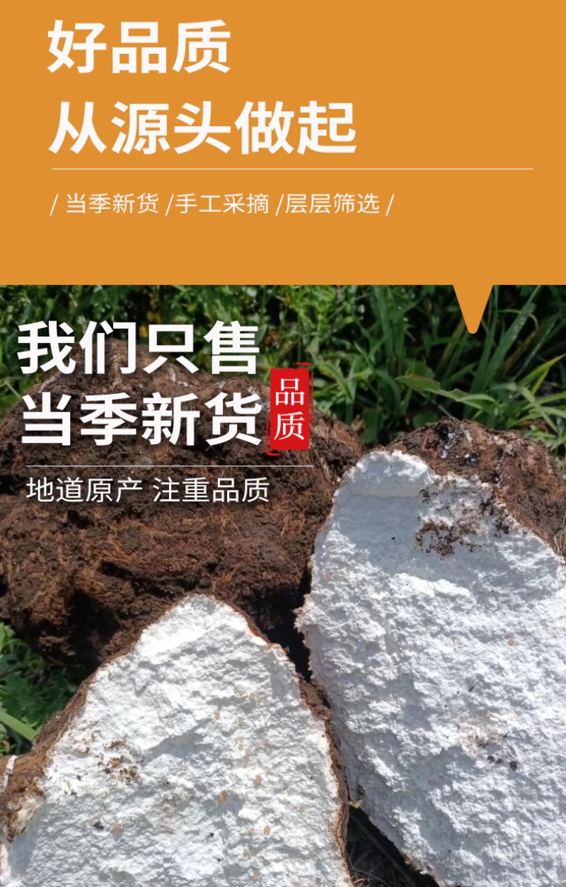 批发散货五苓散原材料茯苓散装煮水泡水产地直供各种规格量大