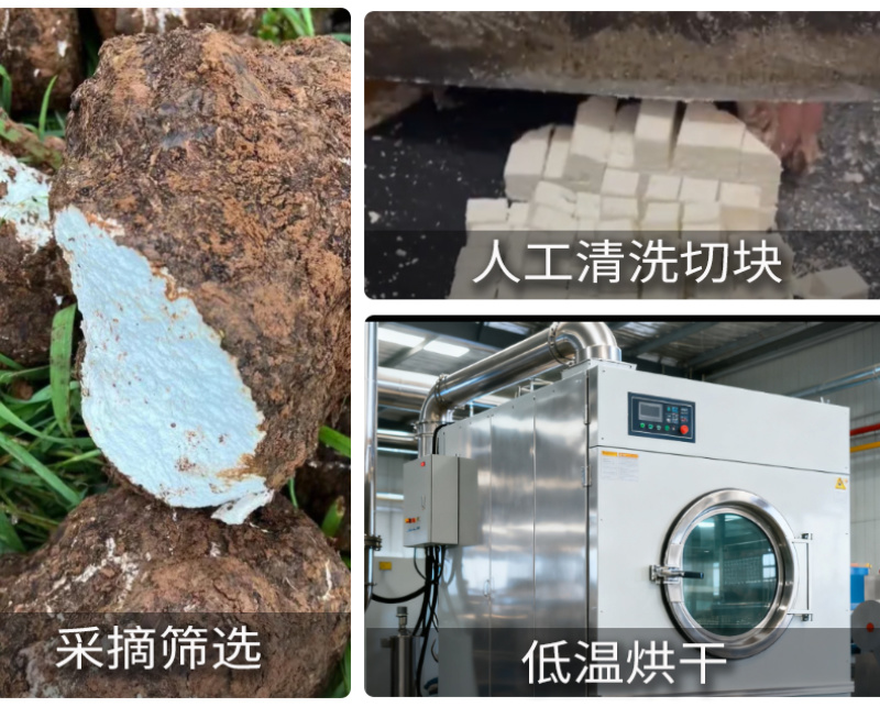 批发散货五苓散原材料茯苓散装煮水泡水产地直供各种规格量大