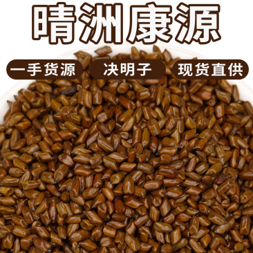 批发散货决明子茶炒制决明子大颗粒决明子