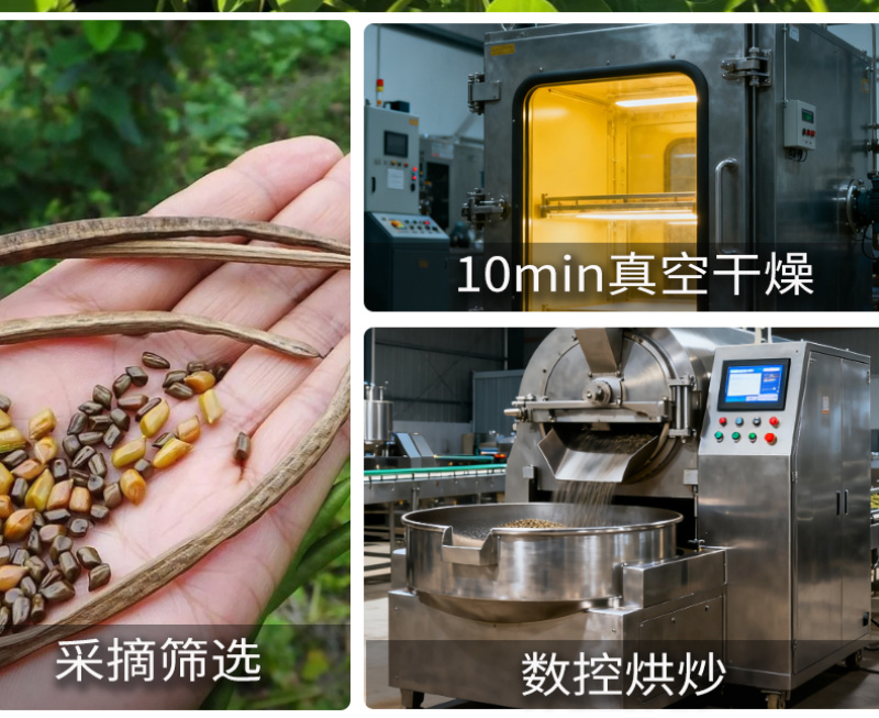 批发散货决明子茶炒制决明子大颗粒决明子