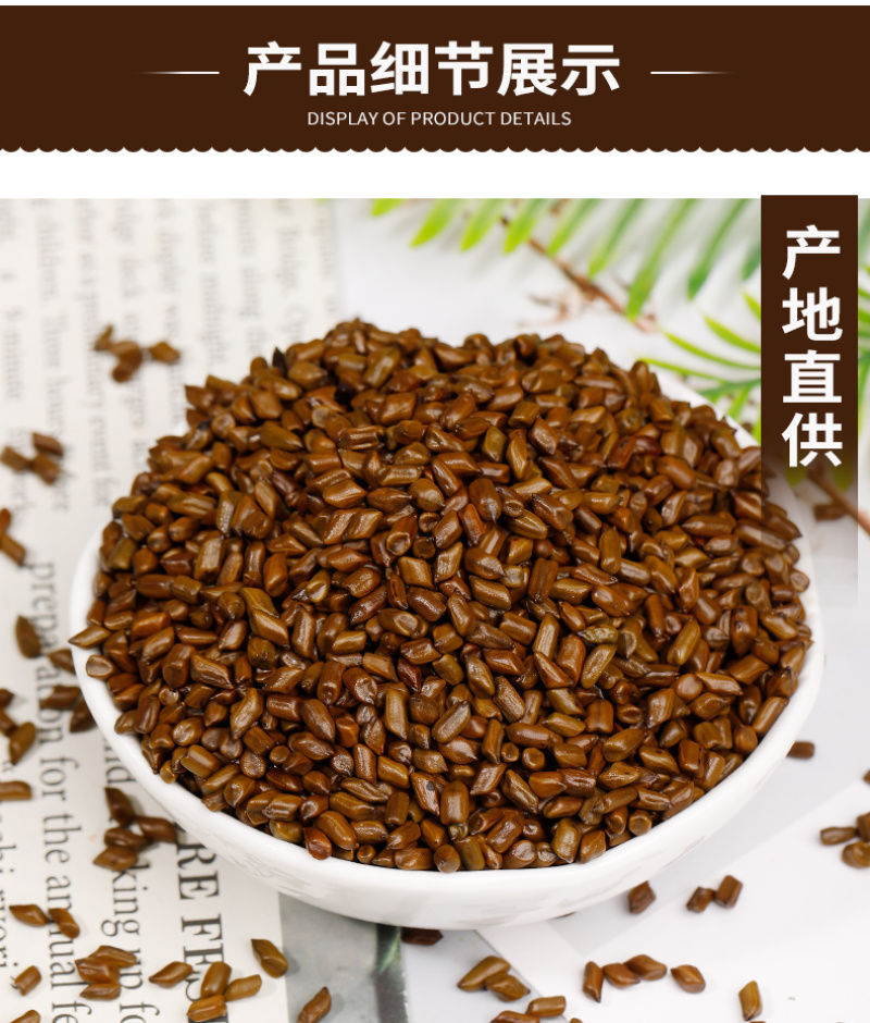 批发散货决明子茶炒制决明子大颗粒决明子