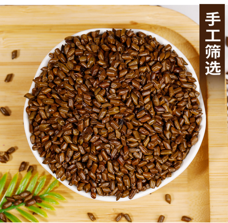 批发散货决明子茶炒制决明子大颗粒决明子