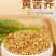 精选黄苦荞茶批发正宗黄苦荞浓香型苦荞麦茶黄苦荞茶大货批