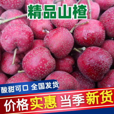 山楂河北铁山楂甜口山楂糖葫芦炒雪球专用山楂价格优