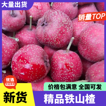 河北铁山楂甜口山楂糖葫芦炒雪球专用山楂价格优惠