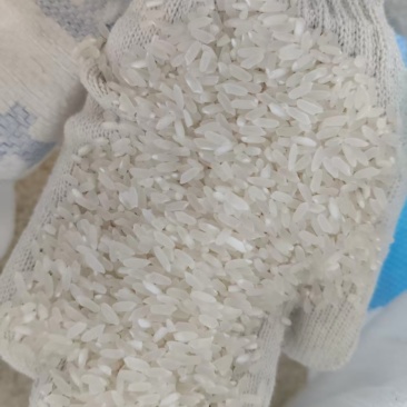 黑龙江长粒香大米大量接单品质保证支持定制欢迎来电