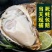 【特价天天有】小规格豆豆，1+1.5+质量保证发货全国