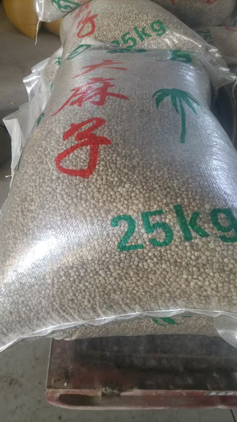 内蒙古鄂尔多斯特产麻子货源充足规格齐全量大价优