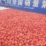辽宁寒富苹果大量上市口感脆甜量大从优欢迎电话联系我