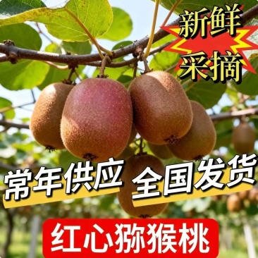 红心猕猴桃产地代办，一件代发团购电商量大从优价格优惠