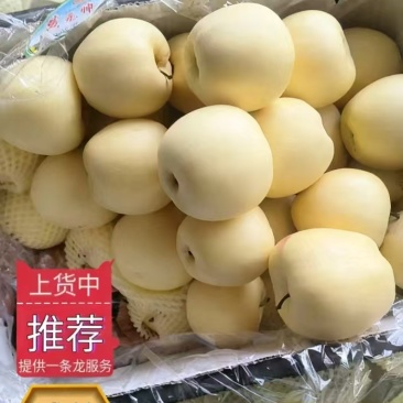 辽宁黄元帅苹果清甜可口对接全国市场量大从优欢迎采购热卖
