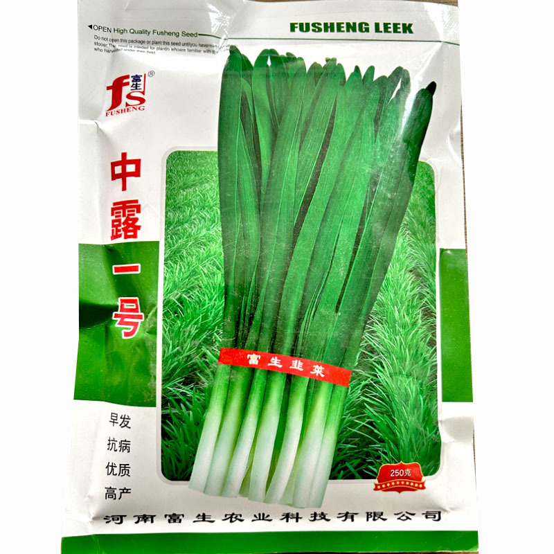 中露一号富生韭菜种子早发抗病宽叶浓绿韭菜种籽鲜嫩清香辛辣