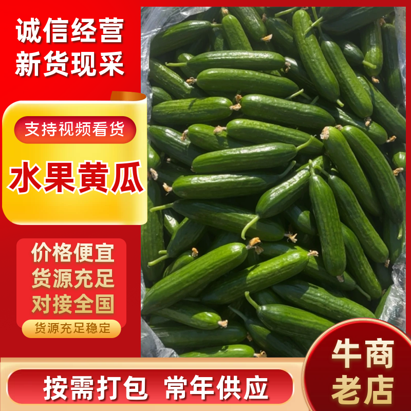 水果黄瓜产地直供电商团购商超市场支持一件代发