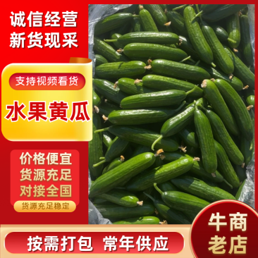 水果黄瓜产地直供电商一件代发商超批发常年供应