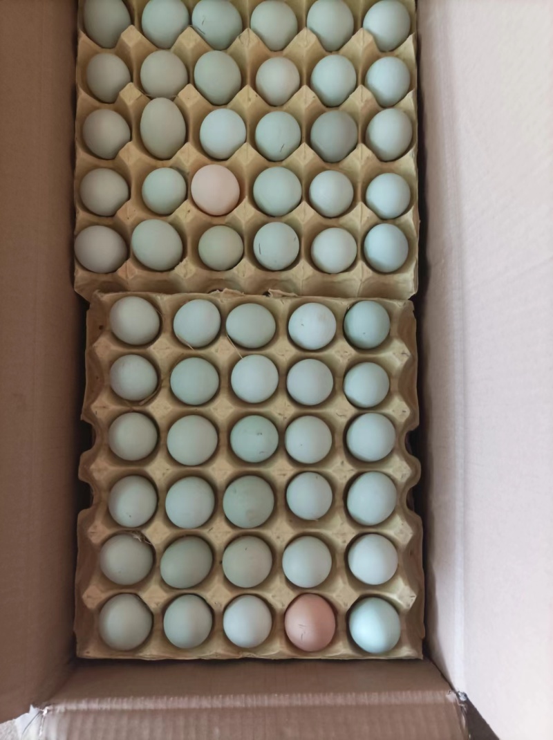 湖北荆门自家散养土鸡蛋/量大价优/欢迎下单