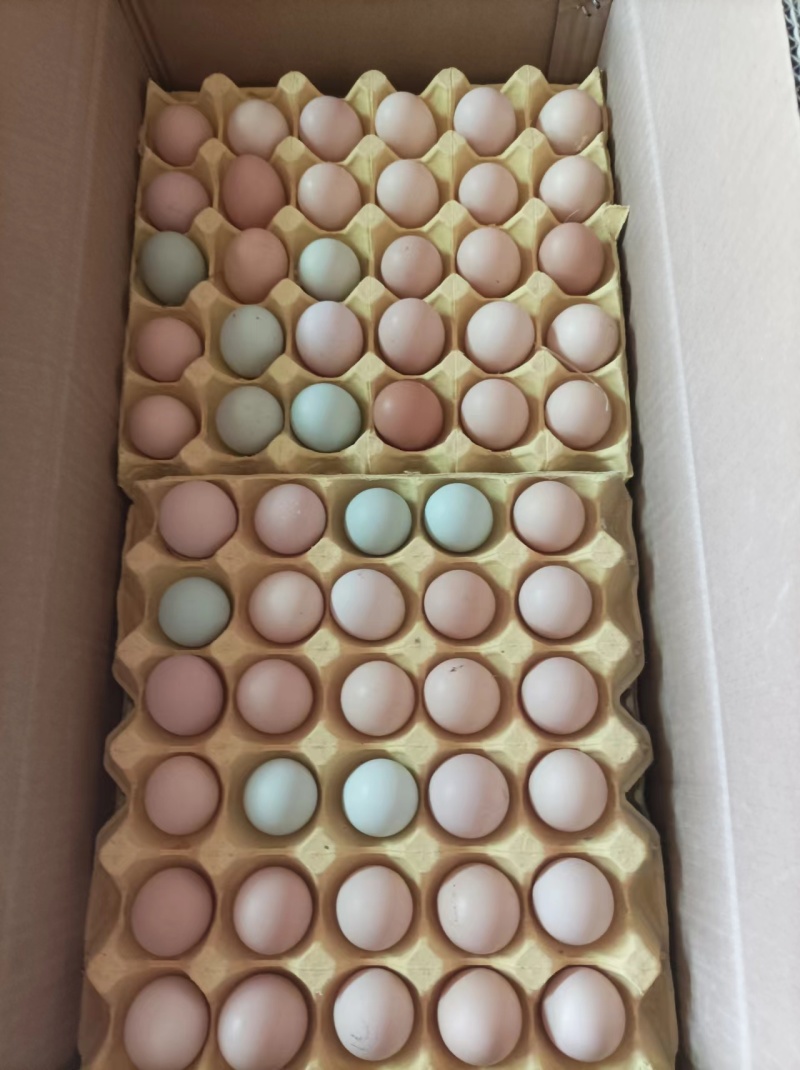 湖北荆门自家散养土鸡蛋/量大价优/欢迎下单