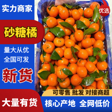 广西桂林砂糖橘精品沙糖桔产地一手货源保质保量