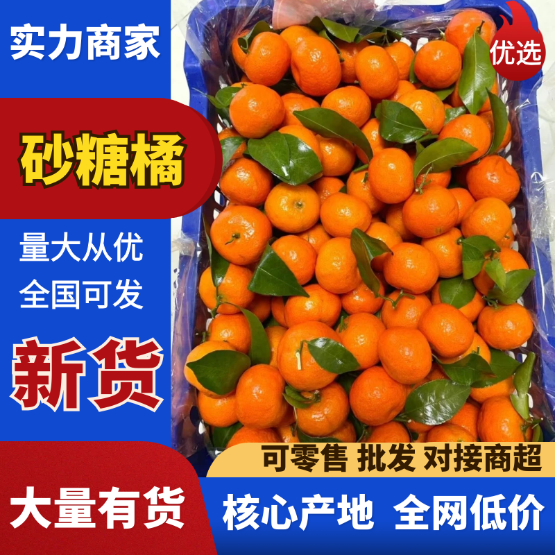 广西桂林砂糖橘精品沙糖桔产地一手货源保质保量