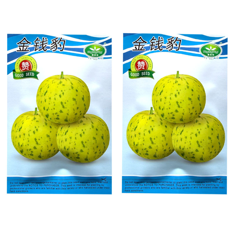 金钱豹甜瓜种子早熟高糖薄皮甜瓜种子肉质脆细嫩大田基地用