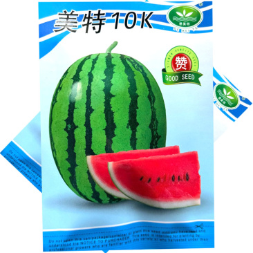 美特10K西瓜种子中早熟绿底黑条纹大红瓤糖度高耐贮运