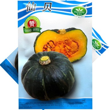 仙贝贝贝南瓜种子早熟易座果果肉橙黄肉质粉糯甘甜口感好基地