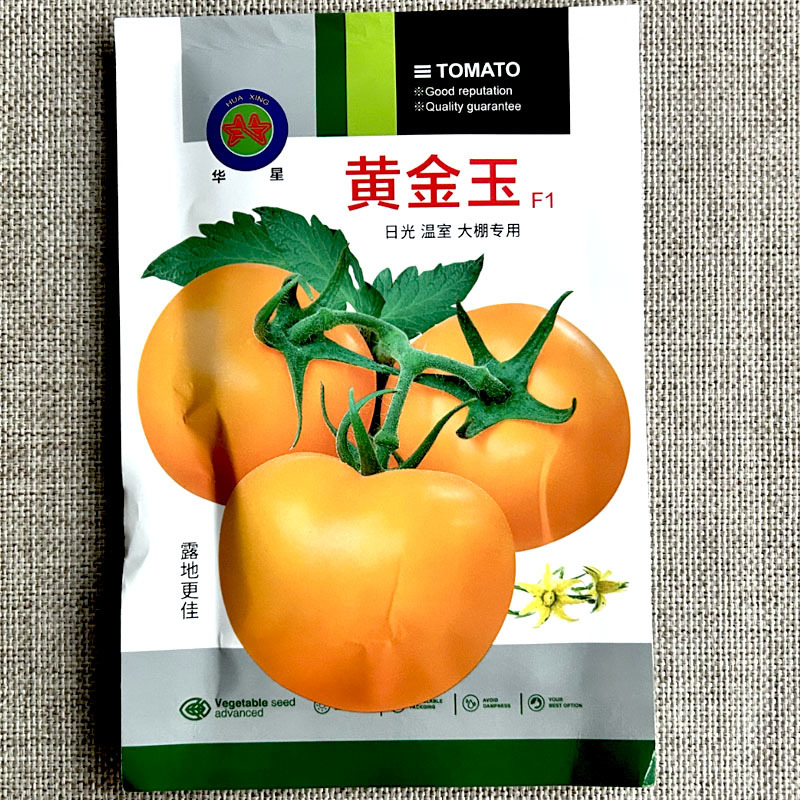 大果黄番茄黄金玉番茄种子早熟抗病香甜产量高基地品种