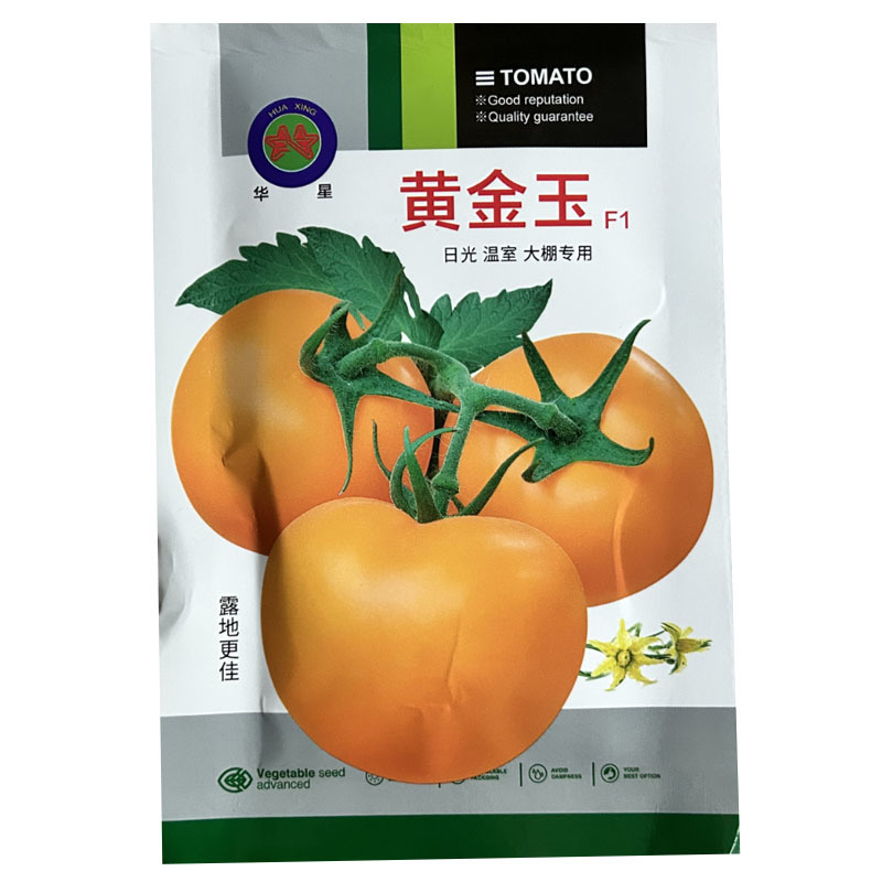 大果黄番茄黄金玉番茄种子早熟抗病香甜产量高基地品种